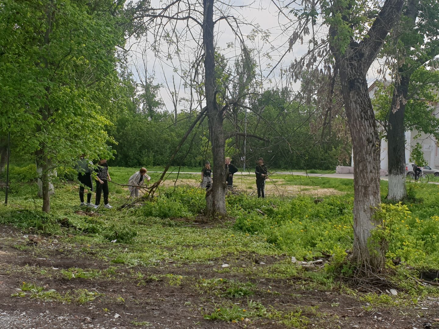 «Сделаем вместе красивое село»